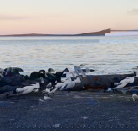 Hilton Motel - Kingaroy Accommodation