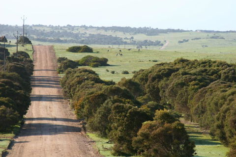 Almonta Park Lodge - Kingaroy Accommodation 4