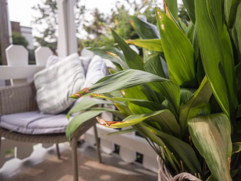 Cottage 79 - Kingaroy Accommodation 5