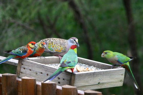 Honeymoon View - Kingaroy Accommodation 5