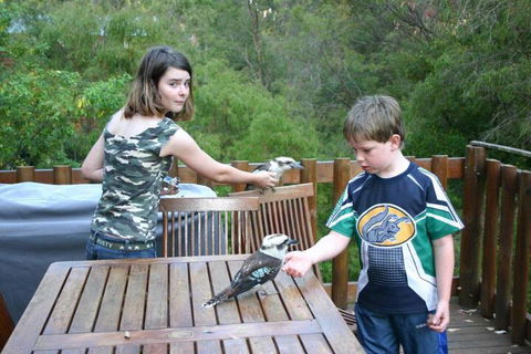 Honeymoon View - Kingaroy Accommodation 2