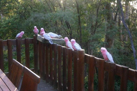 Honeymoon View - Kingaroy Accommodation 3