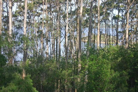 Honeymoon View - Kingaroy Accommodation 7