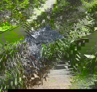 Montagues of Montville - Kingaroy Accommodation