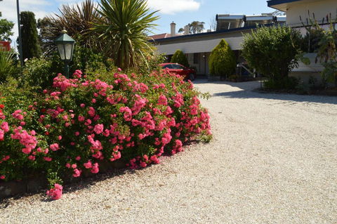 Wattle Grove Motel Maryborough - Kingaroy Accommodation 4