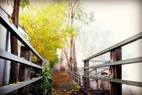 CocknBull Boutique Hotel - Kingaroy Accommodation 3