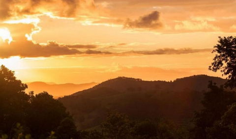 Cooroy Country Cottages - Kingaroy Accommodation 0