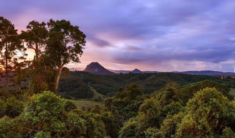 Cooroy Country Cottages - Kingaroy Accommodation 3