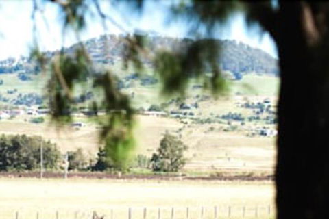 Killarney View Cabins & Caravan Park - Kingaroy Accommodation 1