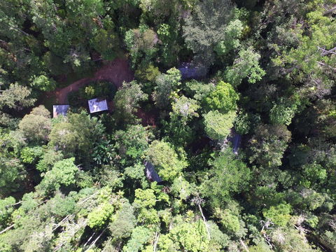 Crater Lakes Rainforest Cottages - Kingaroy Accommodation 0
