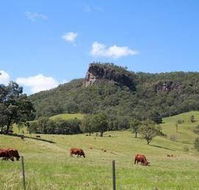 Rosevale House - Kingaroy Accommodation