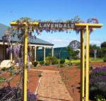 Lavendale Farmstay  Cottages York - Kingaroy Accommodation