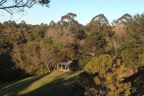 Jacaranda Cottages - Kingaroy Accommodation 3