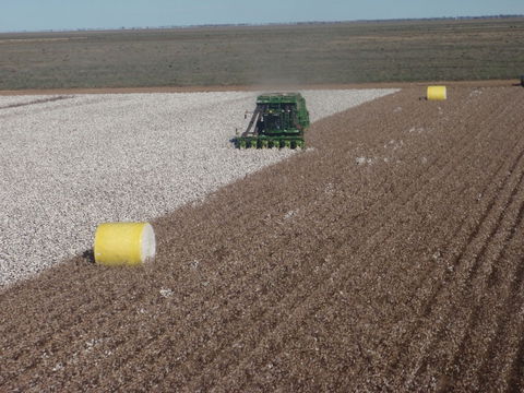 Corynnia Station - Kingaroy Accommodation 1