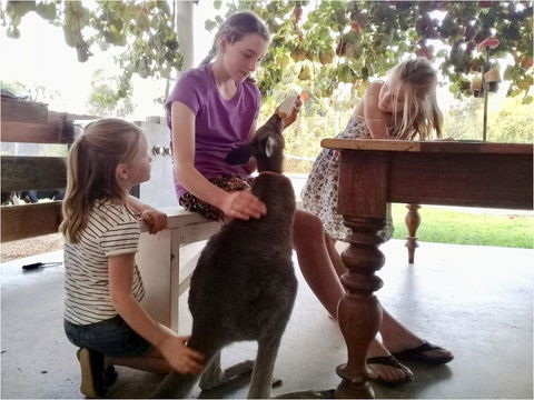 Corynnia Station - Kingaroy Accommodation 2