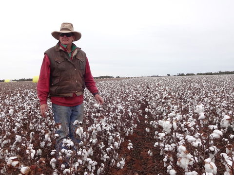 Corynnia Station - Kingaroy Accommodation 5