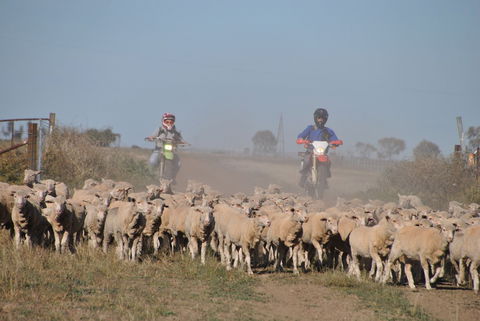 Corynnia Station - Kingaroy Accommodation 4