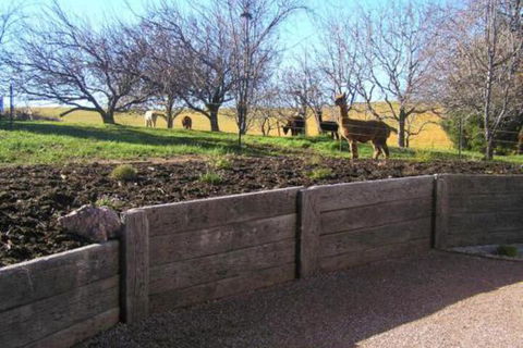 Valleyfield Cottage - Kingaroy Accommodation 4