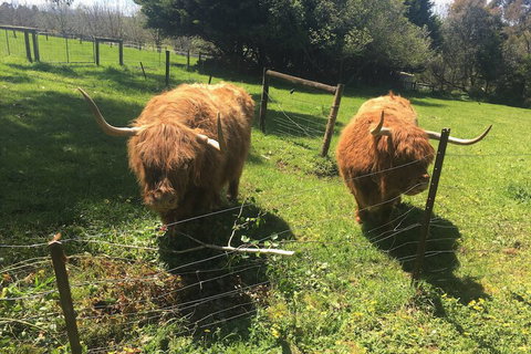 Neerim Country Cottages - Kingaroy Accommodation 2