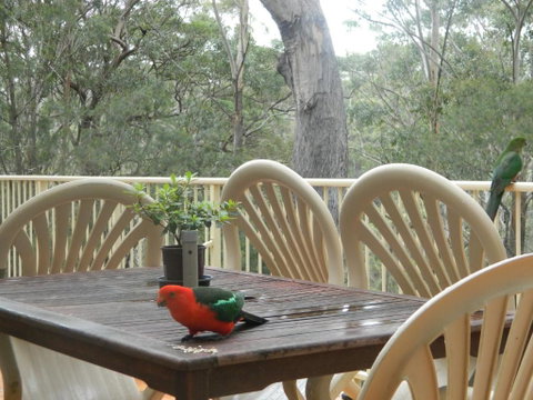 Aqua Vista - Kingaroy Accommodation 4