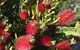 Melview Greens Serviced Apartments - thumb 4