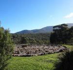 Hawksview at Mafeking - Kingaroy Accommodation