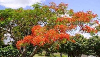 Chatsworth QLD Kingaroy Accommodation