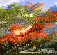 Eastwood Farm - Kingaroy Accommodation