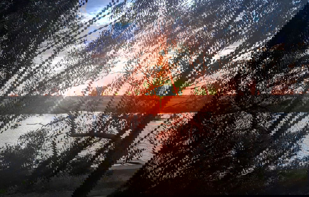  Kingaroy Accommodation