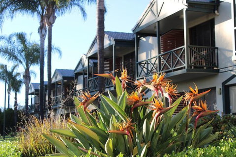 Renmark Hotel Motel - Kingaroy Accommodation 1