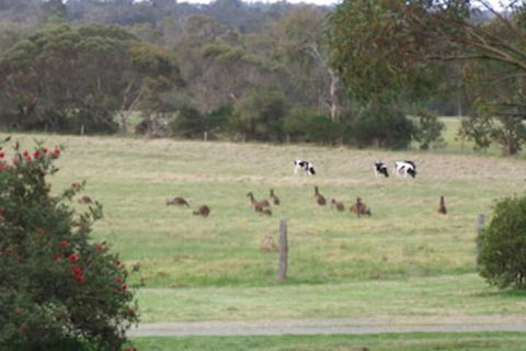 Woody Grange Chalets - Kingaroy Accommodation 6