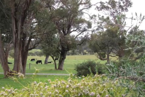 Woody Grange Chalets - Kingaroy Accommodation 3