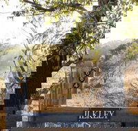 Ilkley Cottages - Kingaroy Accommodation