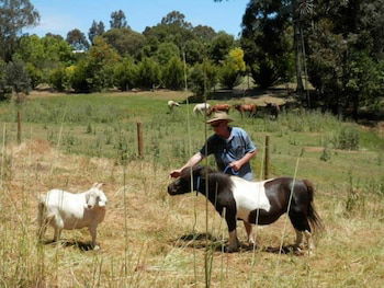 Country Cottages Of Bridgetown - Kingaroy Accommodation 0