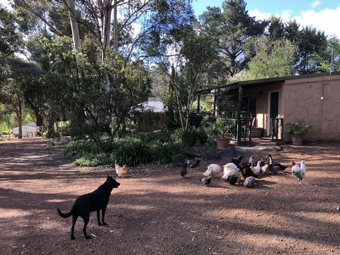 Country Cottages Of Bridgetown - Kingaroy Accommodation 4