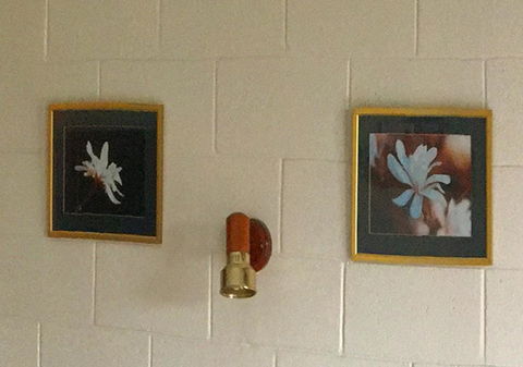 Milawa Motel - Kingaroy Accommodation 2