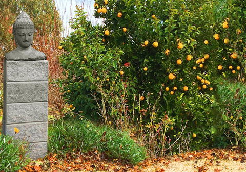 Milawa Motel - Kingaroy Accommodation 5