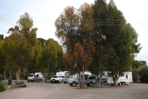 Gladstone Caravan Park - South Australia - Kingaroy Accommodation 1