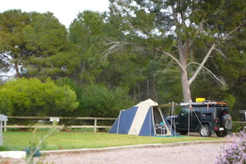 Gladstone Caravan Park - South Australia - Kingaroy Accommodation 5