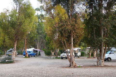 Gladstone Caravan Park - South Australia - Kingaroy Accommodation 4