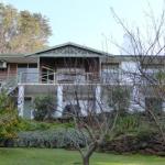 Sea Banksia - Kingaroy Accommodation 0