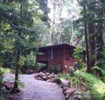 Black Palm Cape Tribulation - Kingaroy Accommodation