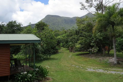 Cape Trib Farmstay - Kingaroy Accommodation 5