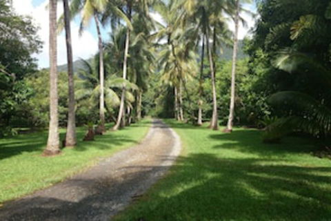 Cape Trib Farmstay - Kingaroy Accommodation 0