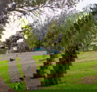 Windsor Gardens Caravan Park - Kingaroy Accommodation