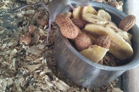 A Twist Of Willow - Kingaroy Accommodation 6