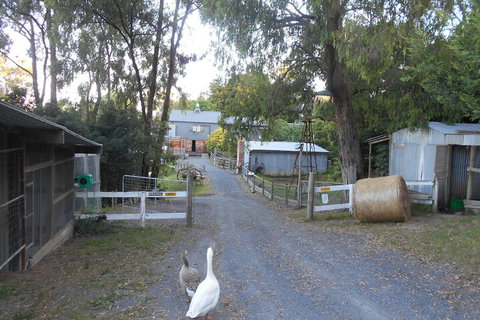 A Twist Of Willow - Kingaroy Accommodation 1