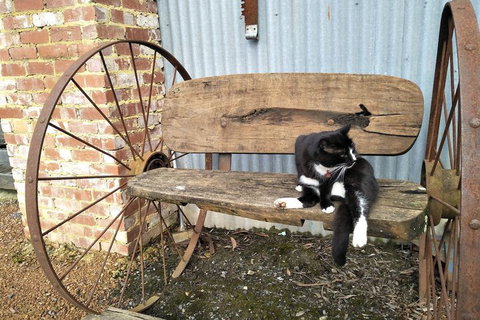 A Twist Of Willow - Kingaroy Accommodation 7