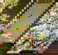 Apple Blossom Cottage - Kingaroy Accommodation