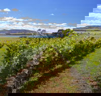 Riversdale Estate Cottages - Kingaroy Accommodation